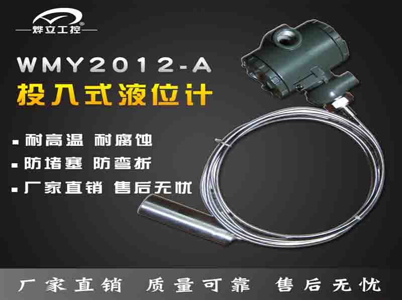 wmy2012投入式液位計(jì)